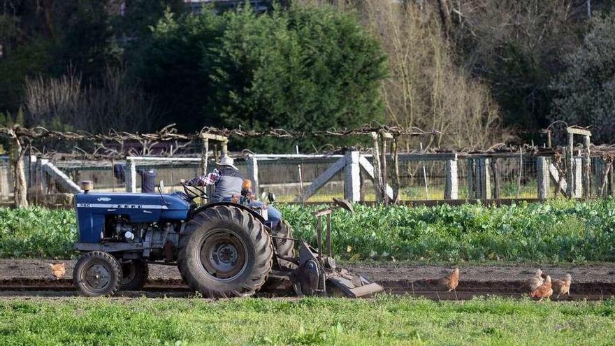 Un agricultor trabaja en una finca próxima a Pontearnelas. // Noé Parga