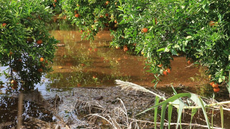 Campo anegado de Agua en Xeraco