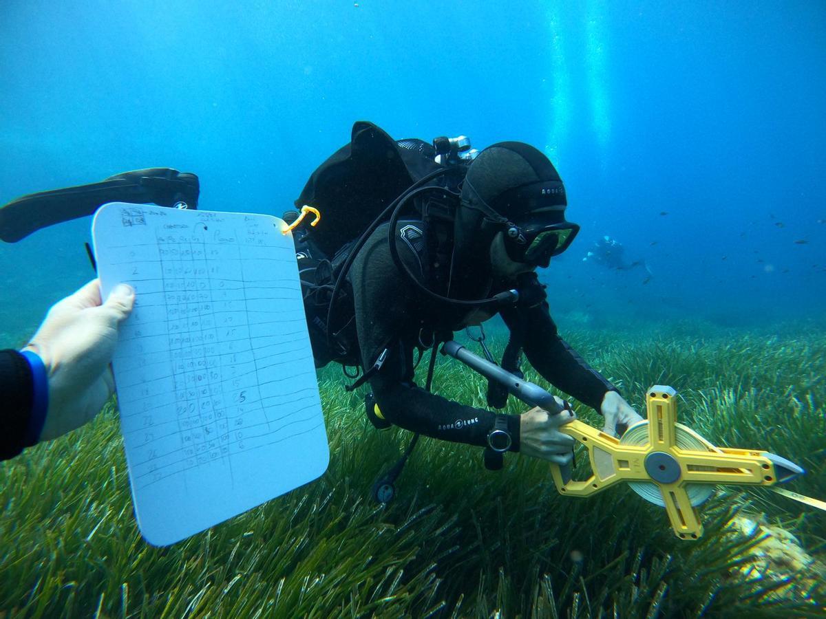 Submarinistas monitorizando el fondo marino