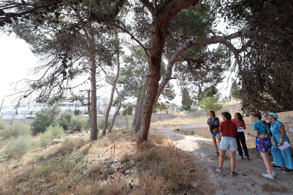 Un momento de la ruta didáctica sobre fauna y flora ofrecida por la bióloga Olivia López en la necrópolis de Puig des Molins.
