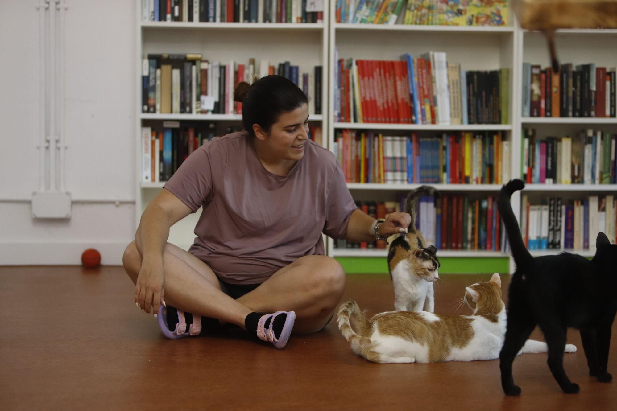ES`PACIO FELINO SHANTI