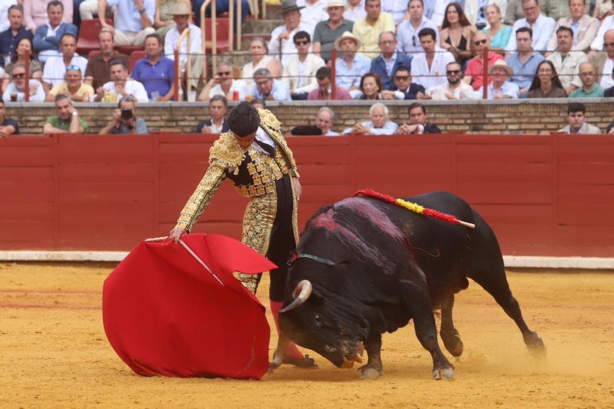 Última corrida de abono de la Feria Taurina de Córdoba, en imágenes Última corrida de abono de la Feria Taurina de Córdoba, en imágenes