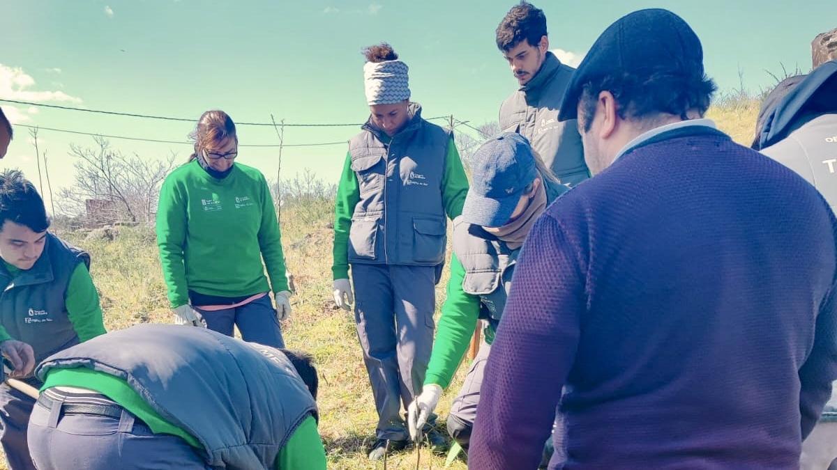 O alumnado do obradoiro de emprego Tahume impulsa a formación forestal coa poda de frondosas en Baroña