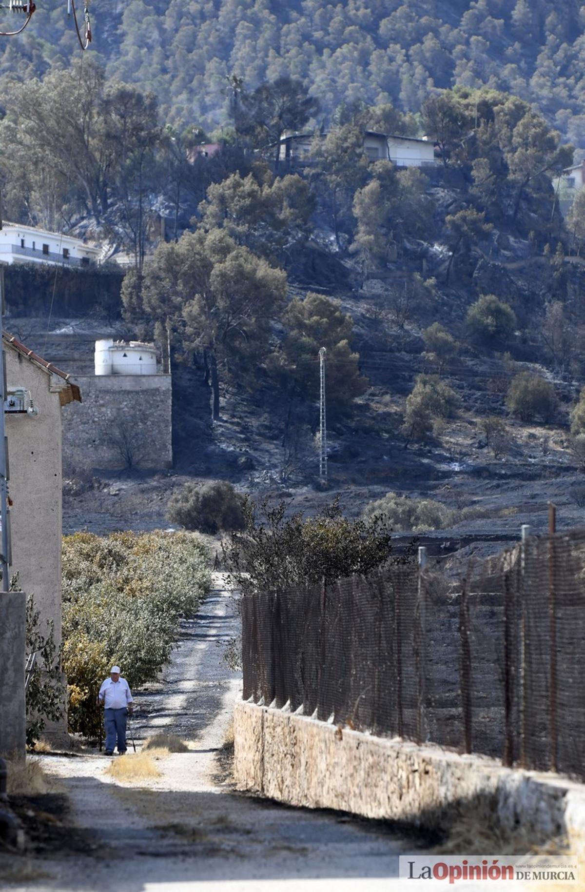 El día después del incendio de El Valle-Carrascoy, en imágenes