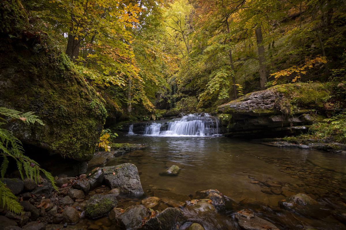 Paisaje escénico en bosque caducifolio y cascada en Sierra Cebollera.