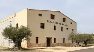 Altea acerca a la ciudadanía al mundo de las setas y a la cultura del olivo