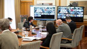 Reunión por videoconferencia del Consejo Interterritorial del Sistema Nacional de Salud.