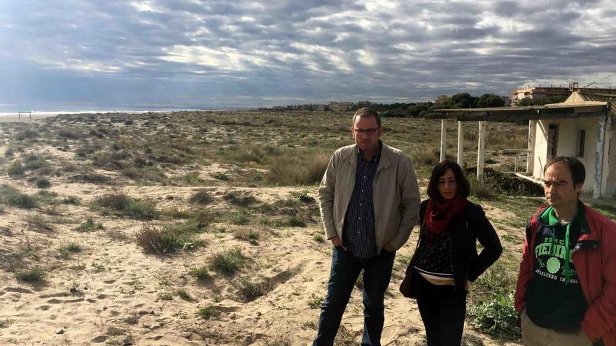 Brote de plantas invasoras en la playa de Almardà