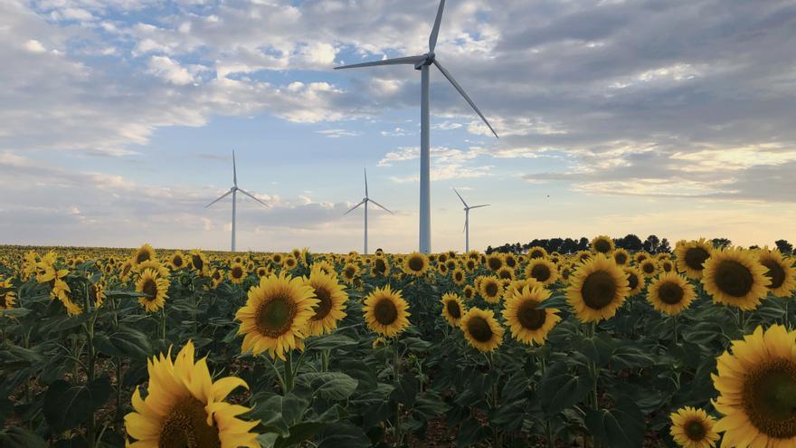 Instalaciones renovables: nuevos refugios para la biodiversidad