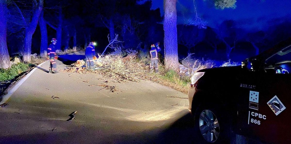 Efectivos del Consorcio de Bomberos retiran al anochecer un árbol en Catí.