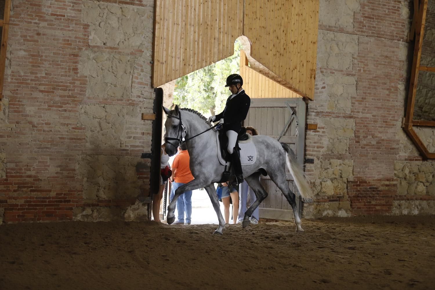Campeonato de Europa del Caballo Lusitano
