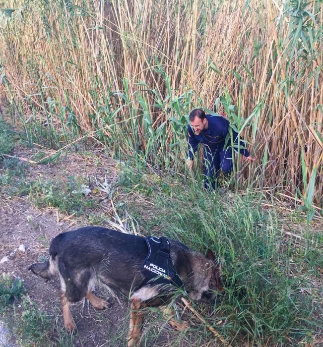 Nueva búsqueda de Petra en la mota del río