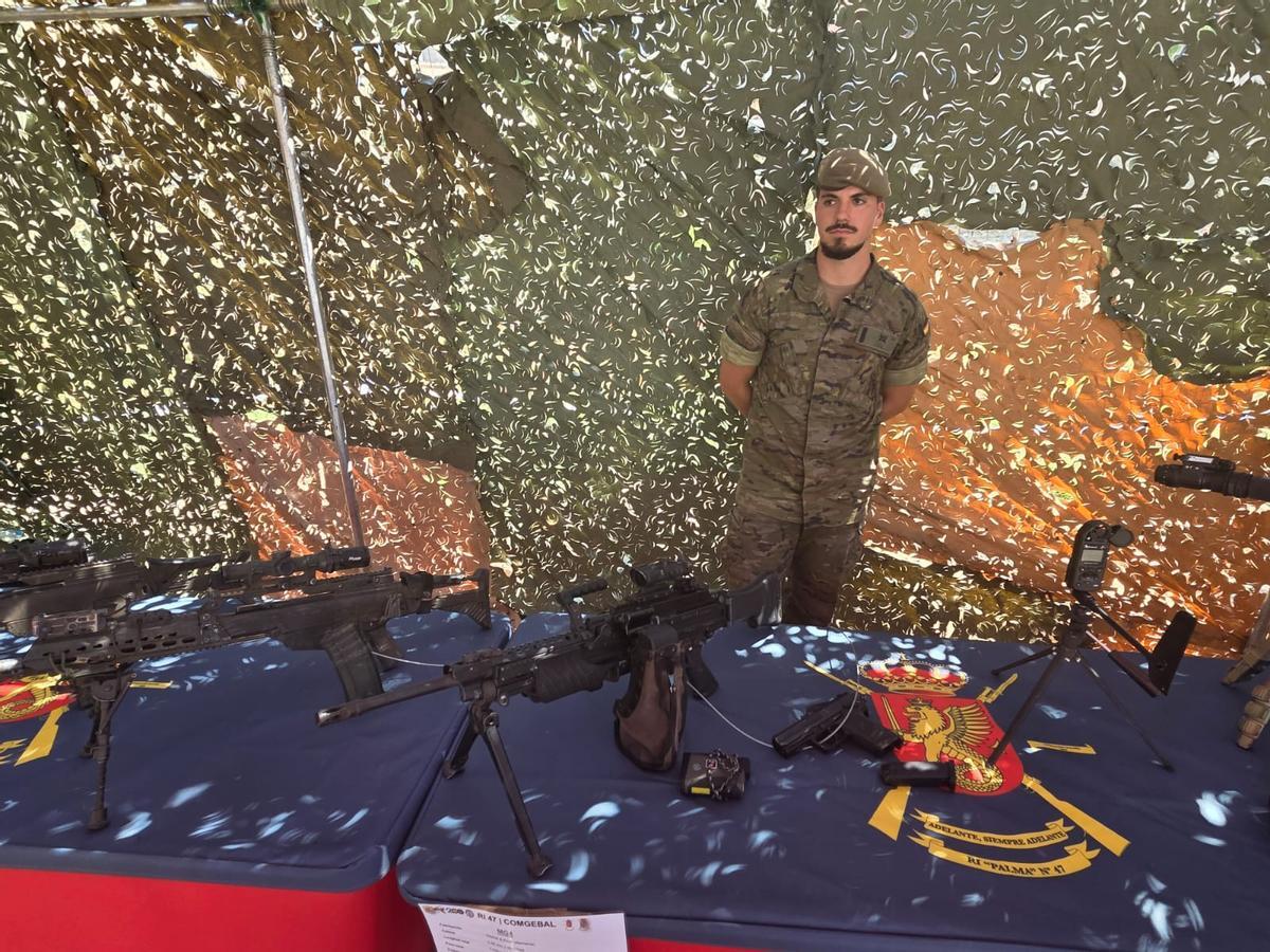 Una exposición de armas del Ejército en el Día de las Fuerzas Armadas en el Parc de la Mar de Palma.
