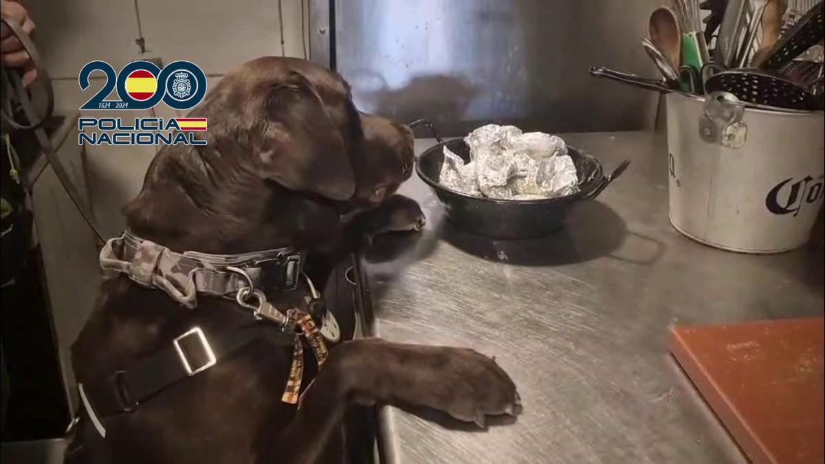 Uno de los registros de la operación de la Policía de Benidorm.