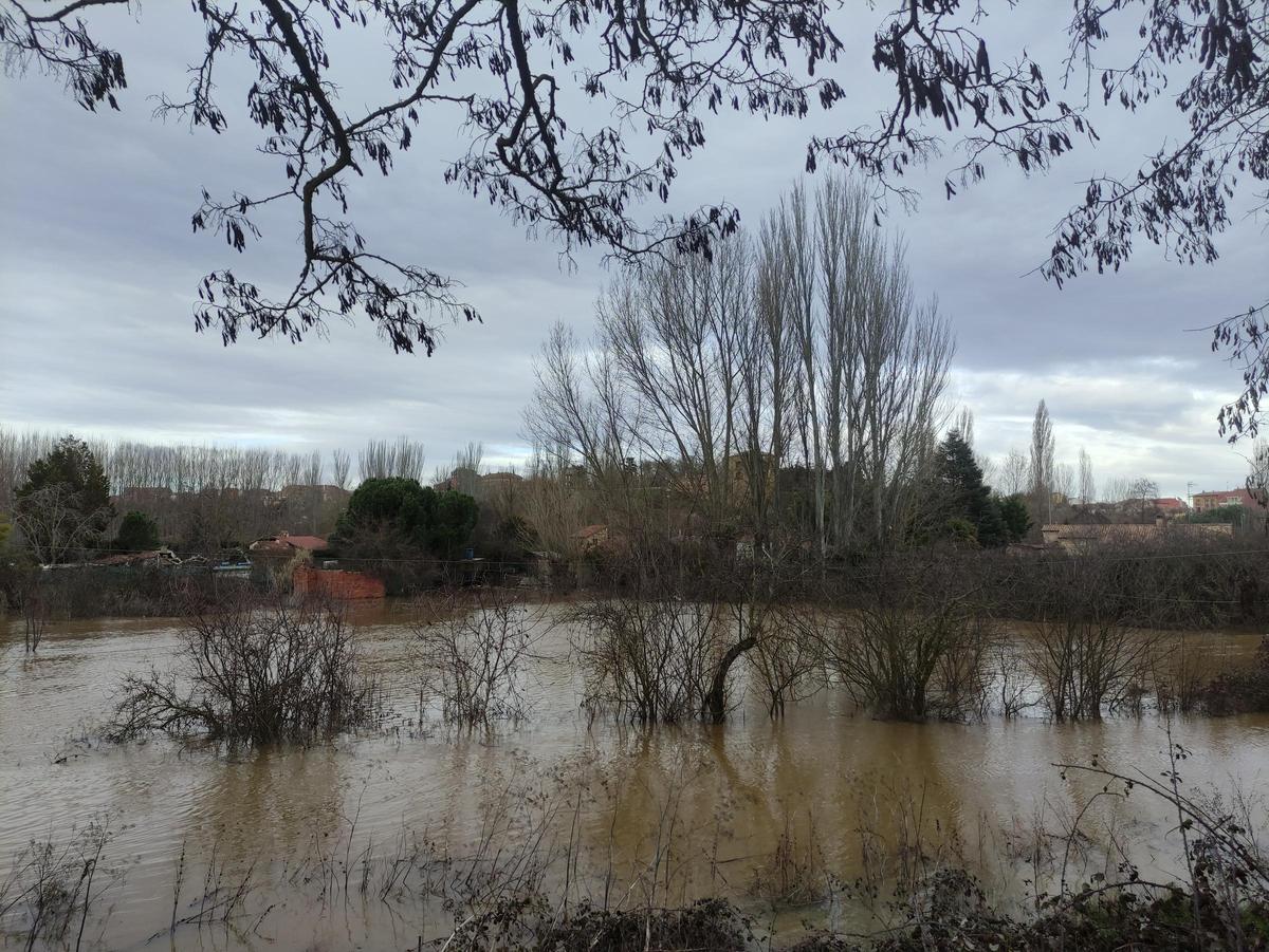 GALERÍA / El río Órbigo desbordado en Benavente, en imágenes GALERÍA / El río Órbigo desbordado en Benavente, en imágenes