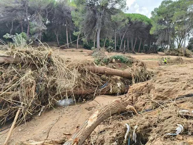 Estado de la zona de entrada y carretera hacia Cumbres de Calicanto