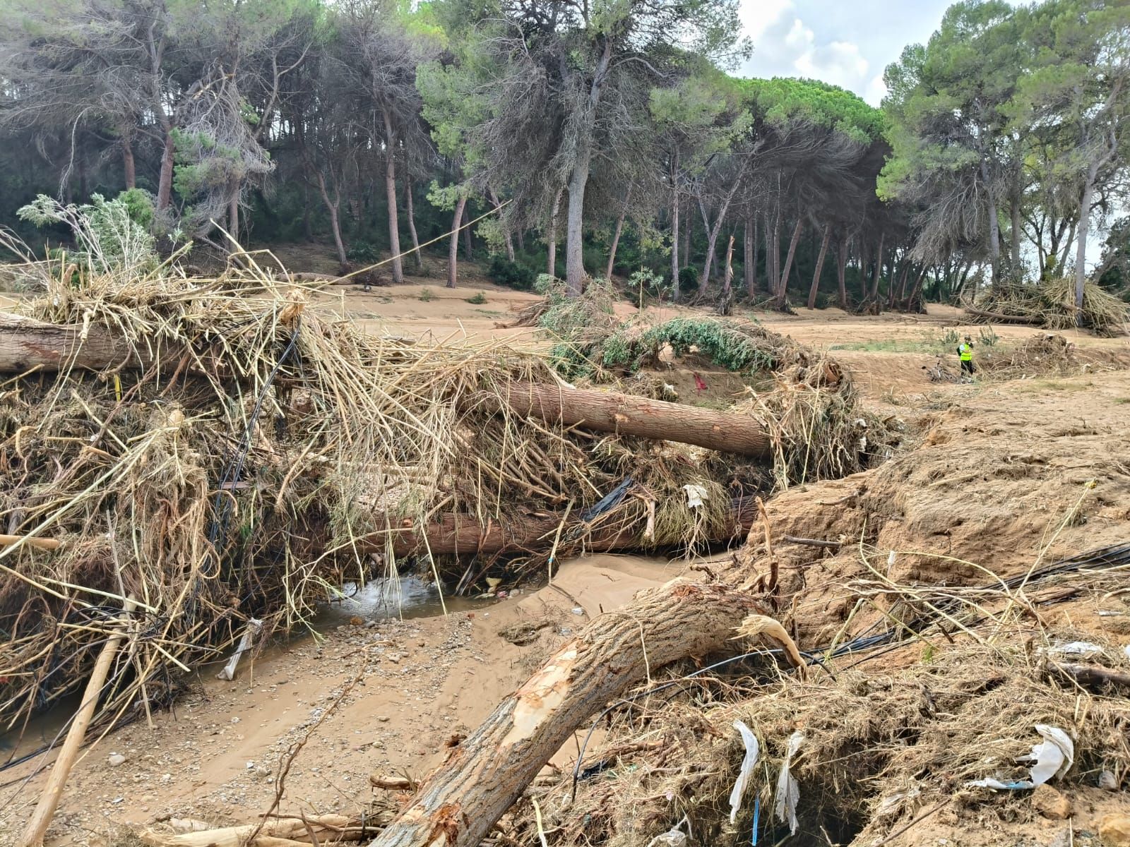 Estado de la zona de entrada y carretera hacia Cumbres de Calicanto