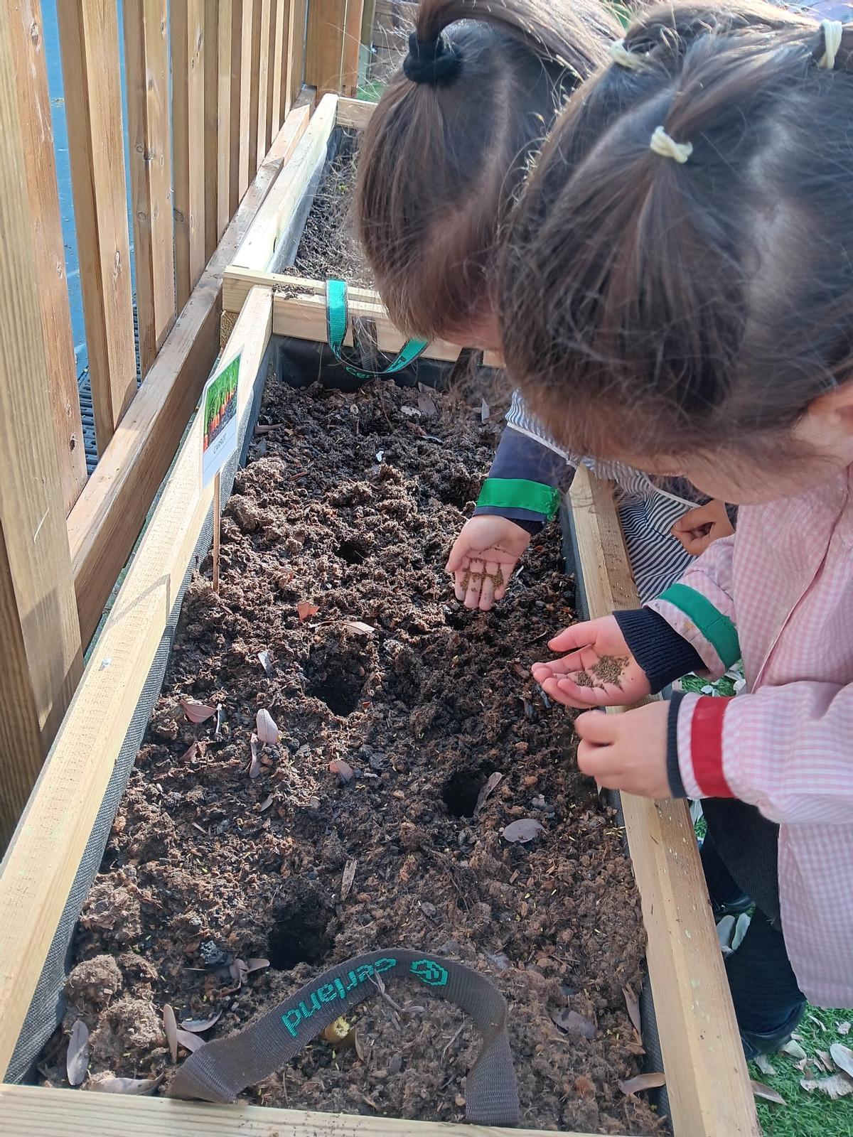 Els més menuts treballen en l'hort escolar que es va perdre a causa de la dana