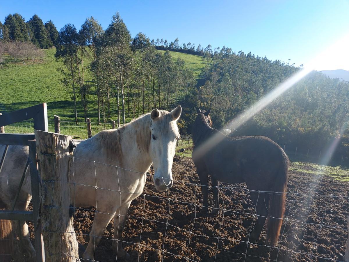 En imágenes: Así se recuerda el gran incendio de El Franco en la zona cero de la catástrofe