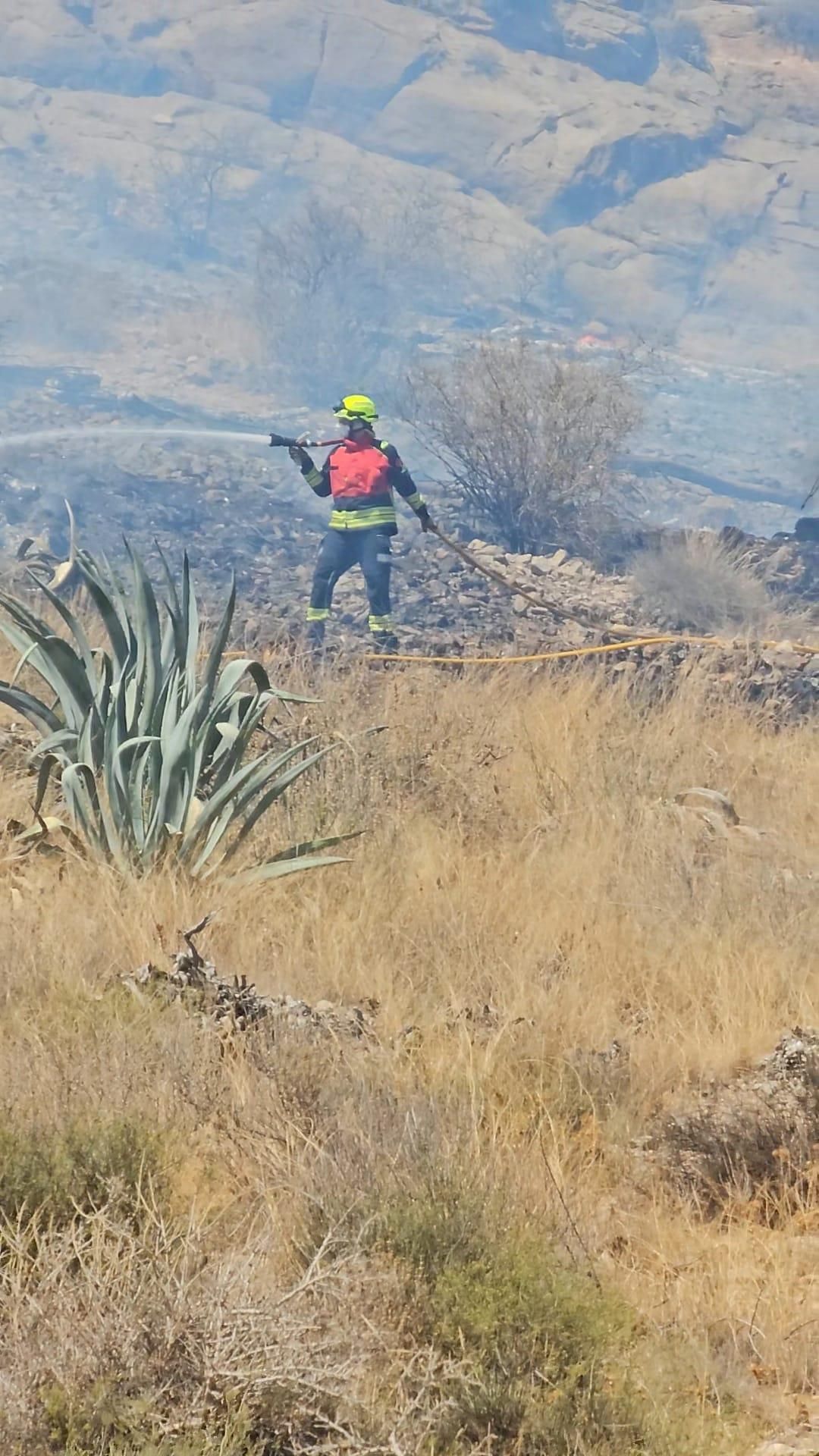 Controlado el incendio forestal que afectaba a la Sierra de Orihuela en La Aparecida
