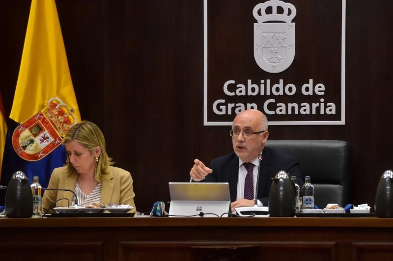 Pleno del Cabildo de Gran Canaria (29/11/19)