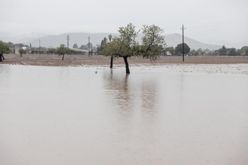 Son Sardina se inunda por las lluvias