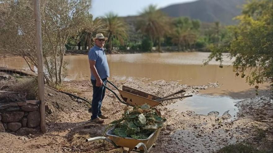 La ilusión de las cabras majoreras