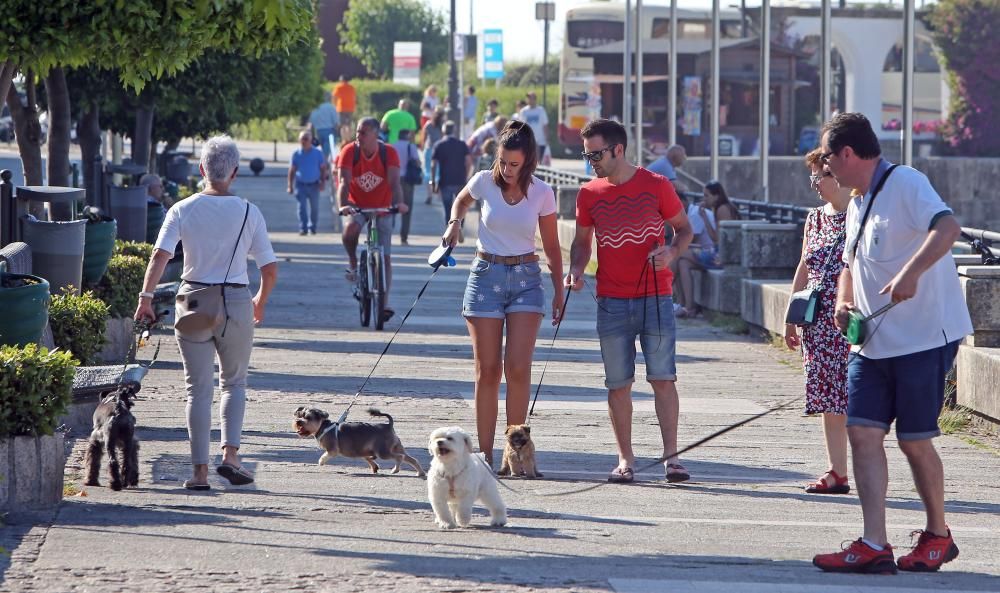 Galicia supera los 40º en cinco municipios y el nordés “enfría” la costa por debajo de 30