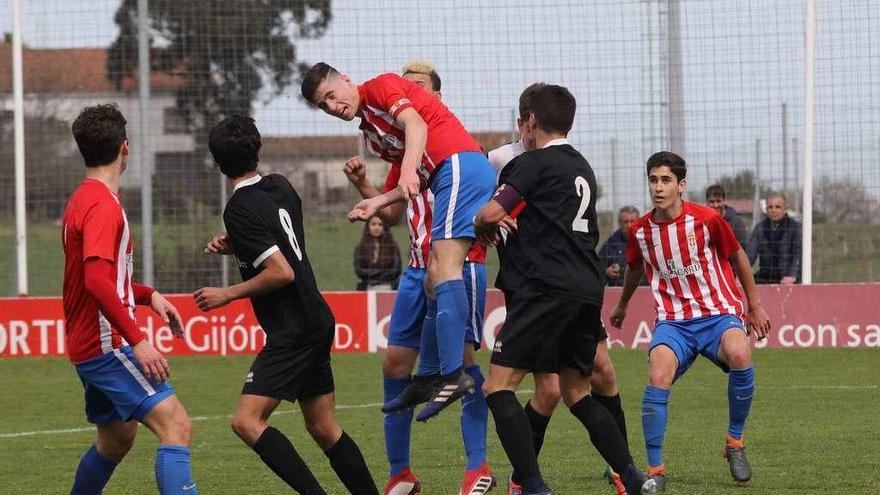 El capitán Miguel trata de rematar un balón durante el duelo ante el Bansander.