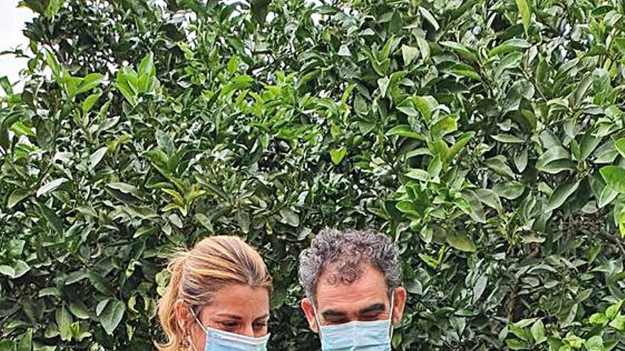 Xeresa implica a sus agricultores y acentúa la lucha biológica al «cotonet»