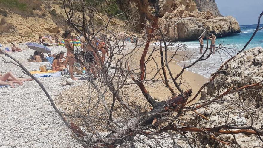 Retiran un árbol quemado a la deriva que era un peligro para navegantes y bañistas en Benitatxell