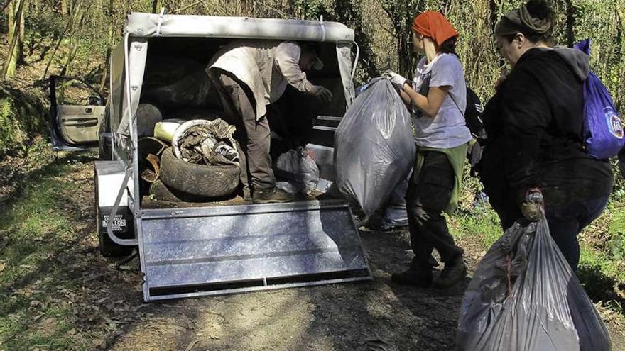 Voluntarios secan eucaliptos y retiran basura del Mendo