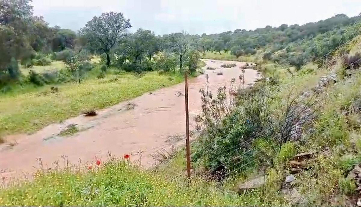 Imagen actual de un arroyo de los que descarga en el Guadalmellato a su paso por Villanueva del Duque.