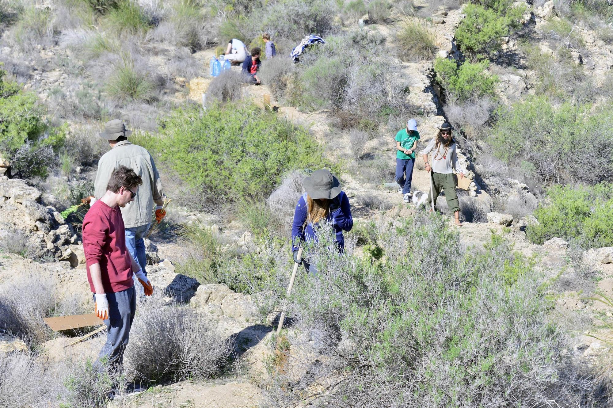 Reforestación barranco Barbasena