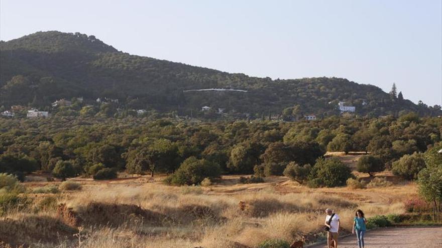 El Ayuntamiento delimitará, reforestará e impedirá el tráfico en El Patriarca