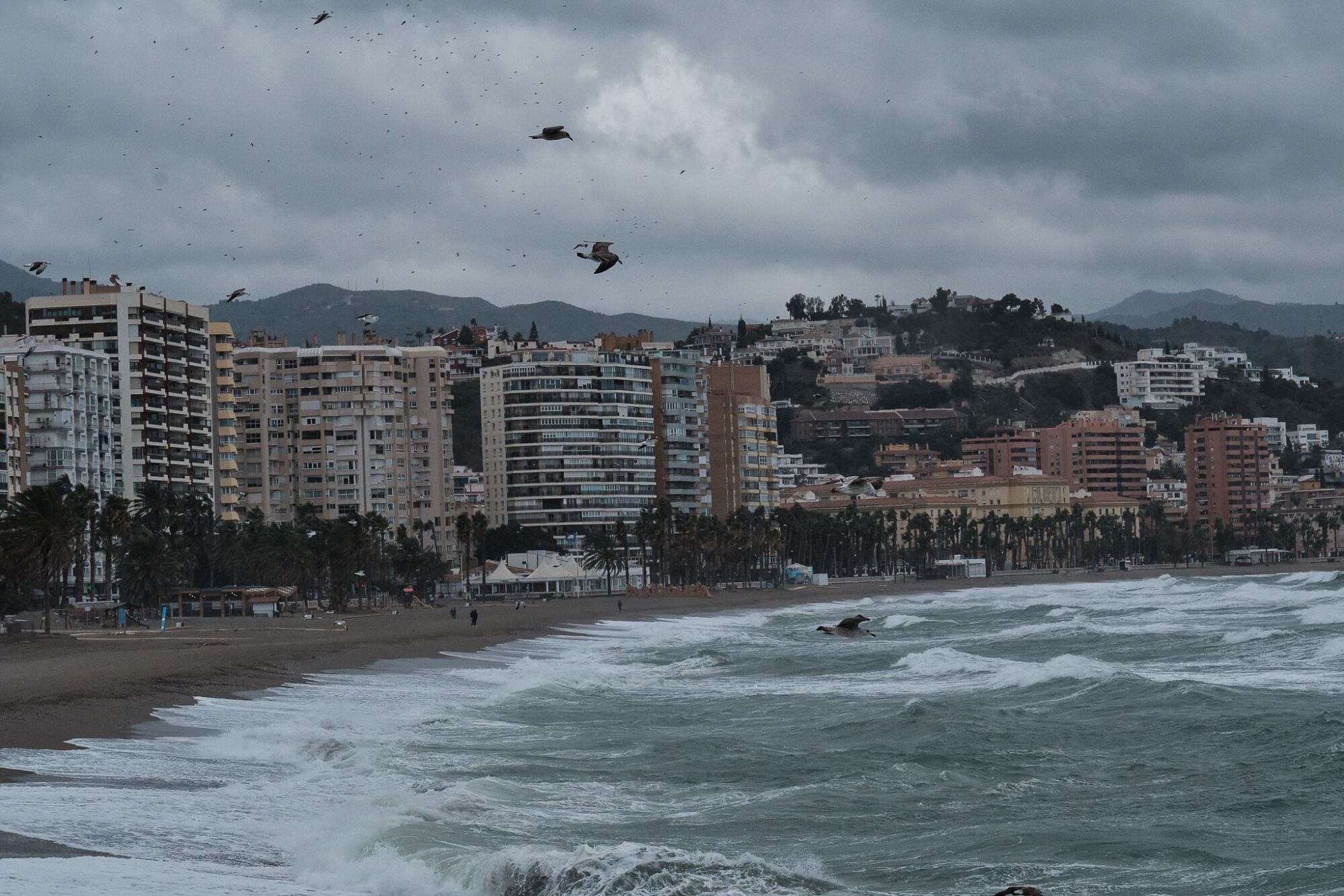 Málaga sufre los efectos del viento y la lluvia durante la alerta naranja
