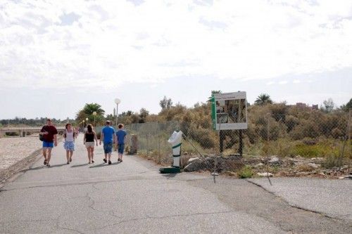 Mal estado de las Palmeras en el Oasis de Maspalomas y el Parque Tony Gallardo