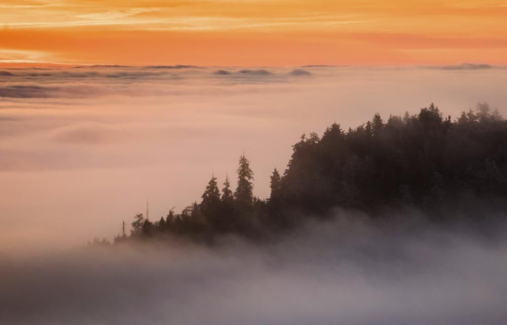 Fotografies espectaculars per acomiadar 2016