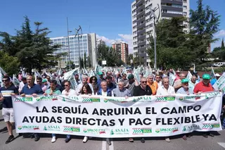 Agricultores y ganaderos de Castilla y León piden en la calle ayudas ante pérdidas de 2.000 millones