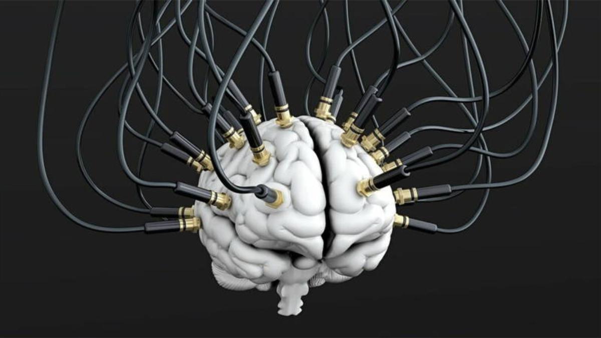 El principio básico de la codificación neuronal en humanos es contrario al que se ha observado en otras especies, un hallazgo que tiene implicaciones significativas.