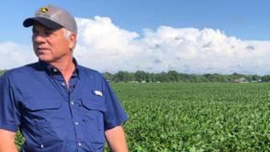 Un cultivador de soja al seu camp de Baton Rouge (Louisiana).