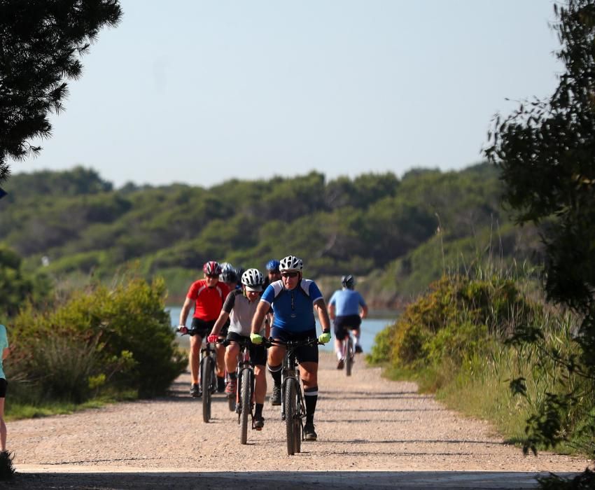 ciclistas rodando por la carretera de El Saler