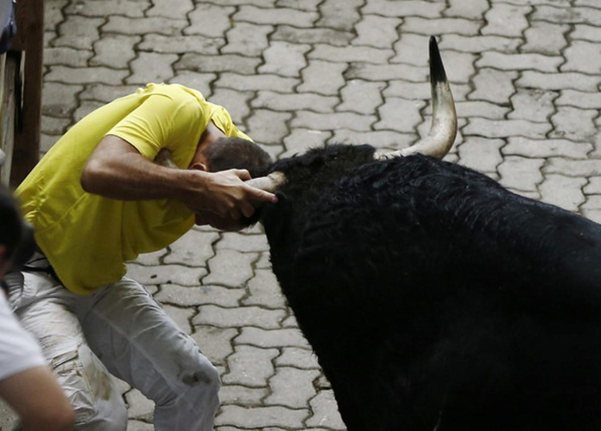 Un dels toros dóna una cornada a un mosso en el tram del carreró.