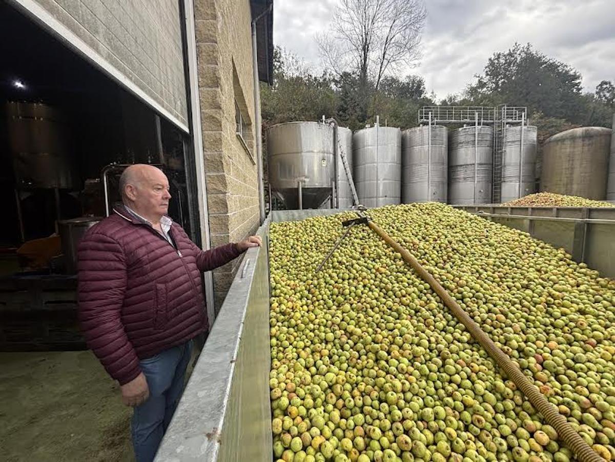 Eloy Cortina en el llagar familiar de Amandi