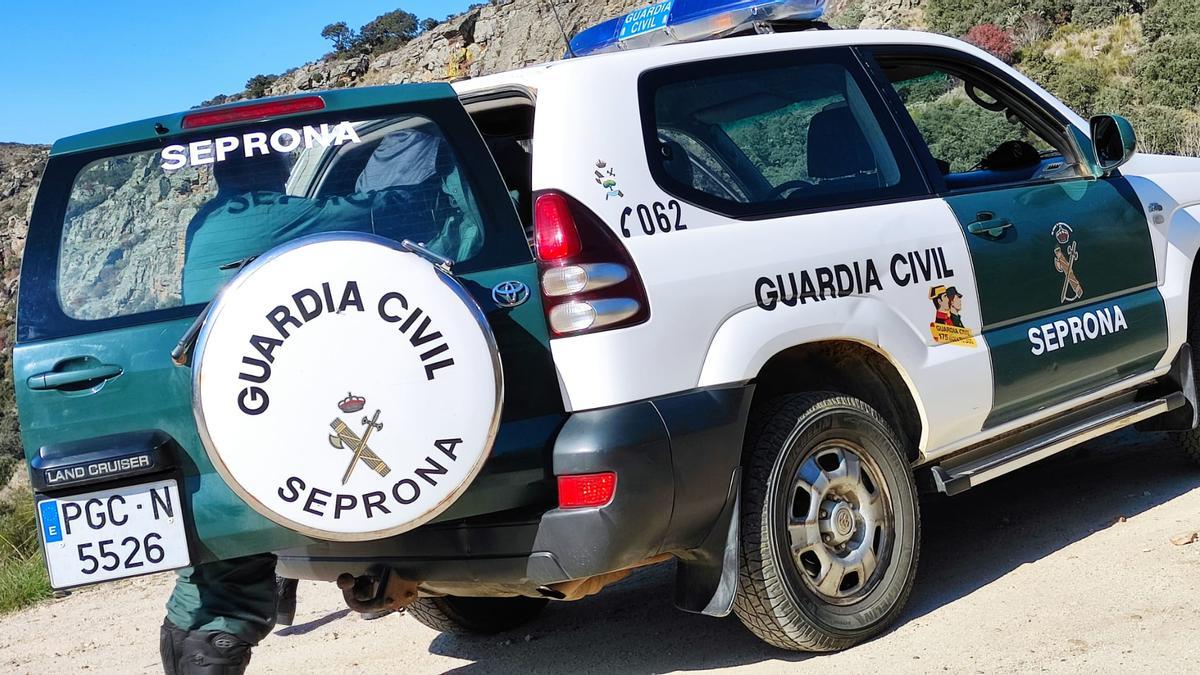 La Guardia Civil detiene al supuesto autor del incendio forestal.