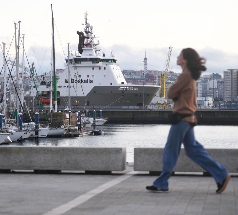 El Boka Pegasus, en A Coruña, ayudará al Blue Star