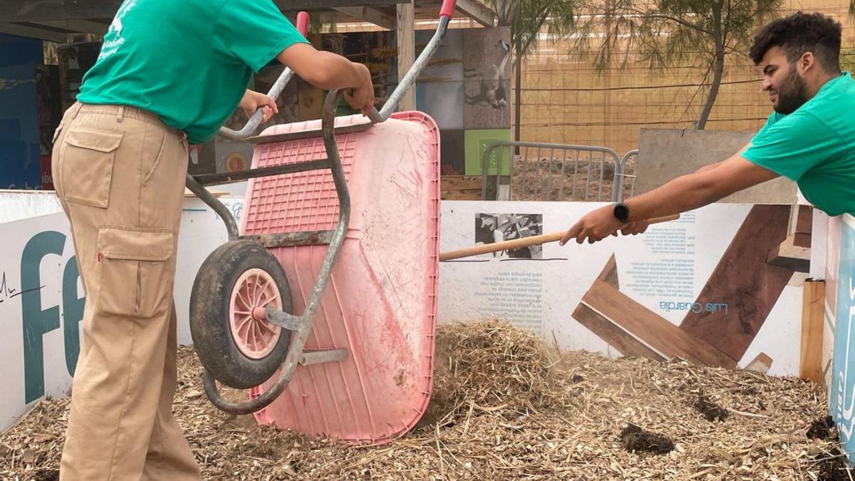 Alumnos del Plan de Empleo  para la Transición Ecológica durante el proceso para convertir las algas en compost.  | | LP/DLP