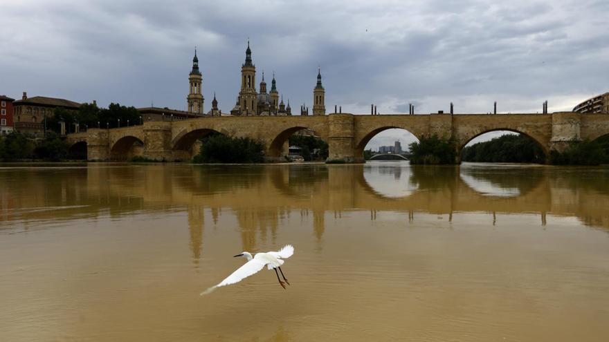 Rechazo político al trasvase a Cataluña pero sin "el frente" común que pide Azcón