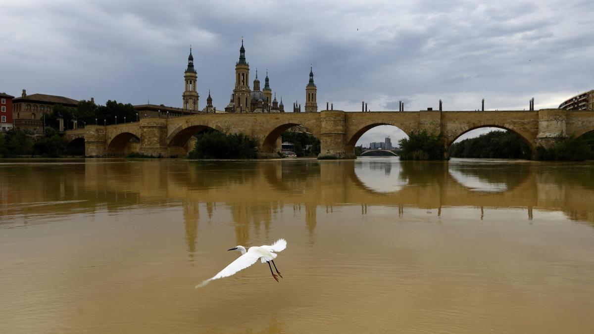 El río Ebro, a su paso por Zaragoza, el pasado mes de junio.