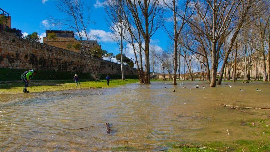 El Duero a su paso por Zamora, hoy.